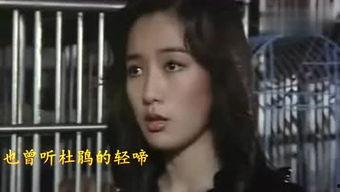 小芳在线观看99  第2张