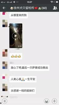 徐州最新爆料视频曝光,一窥城市变迁与民生发展 第3张 徐州最新爆料视频曝光,一窥城市变迁与民生发展 第3张